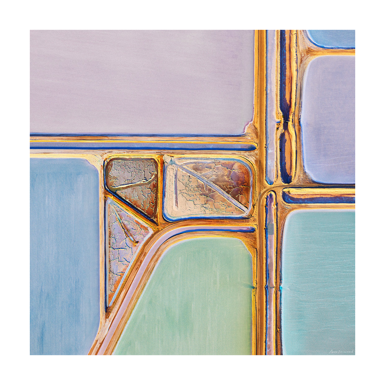 Contemporary geometric nature artwork