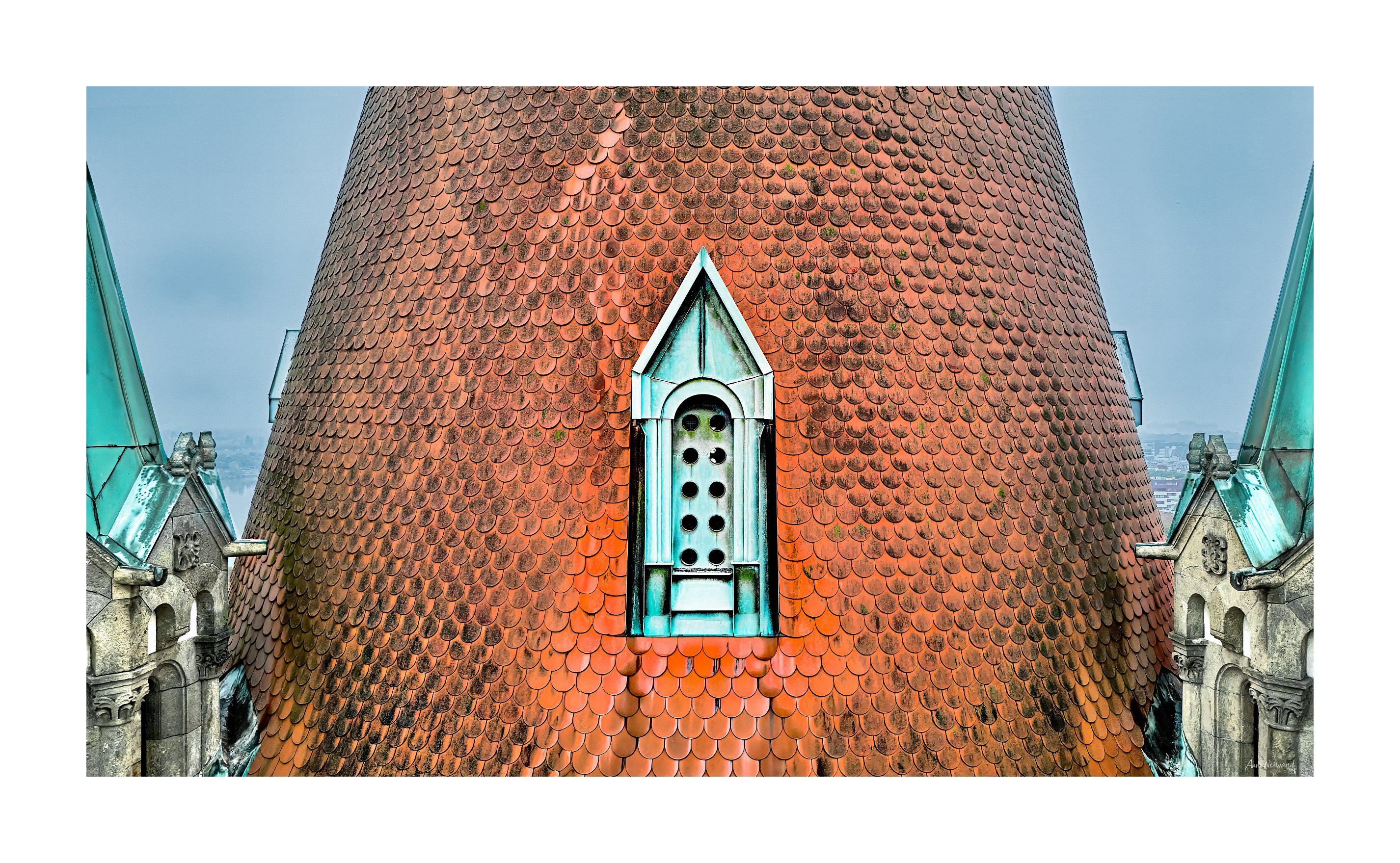 terracotta scale pattern photography