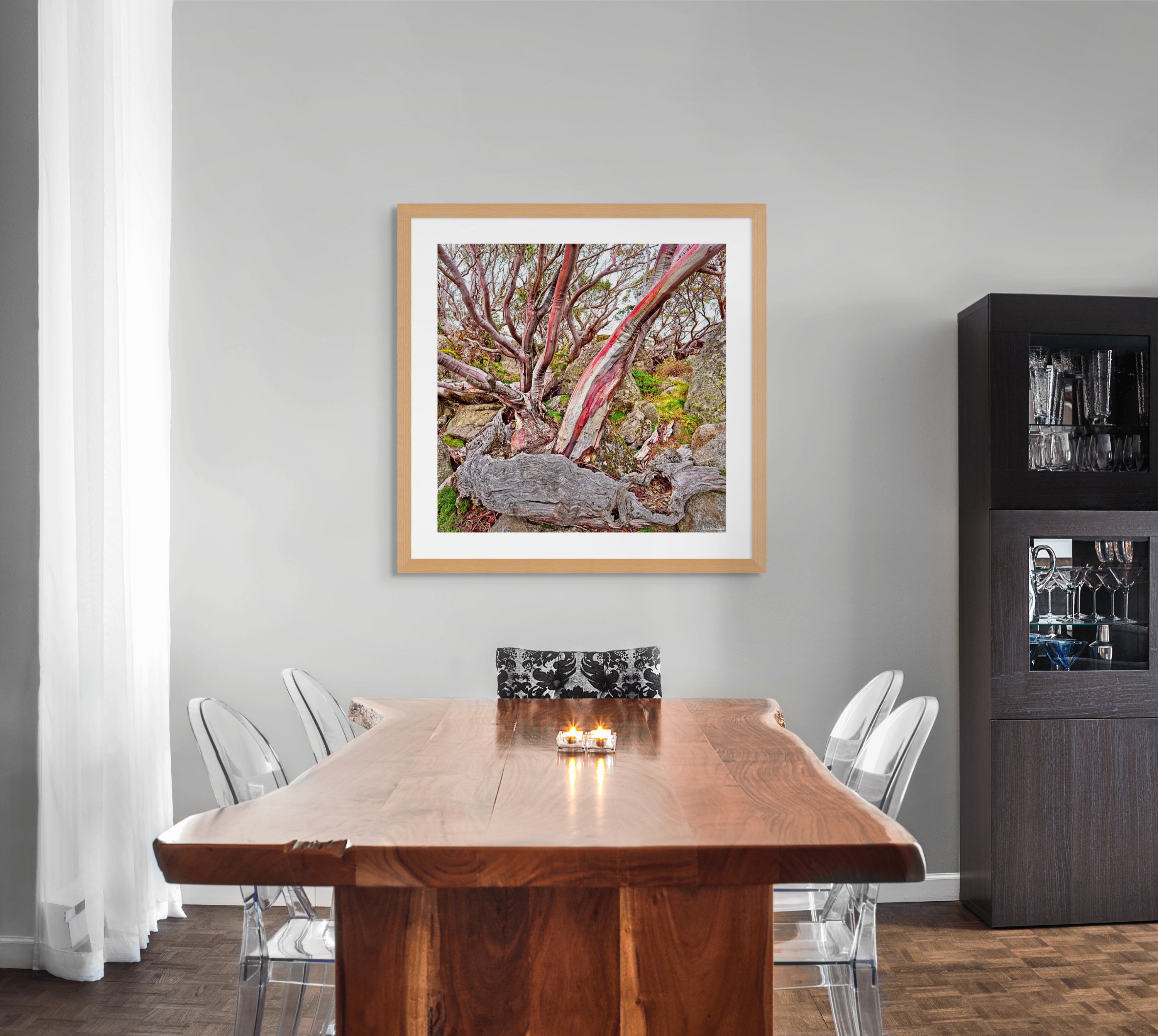 fine art snow gum tree print