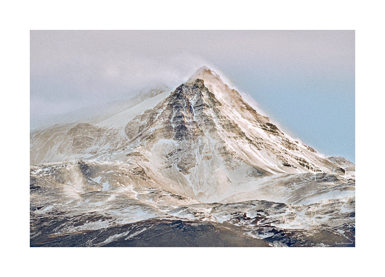 neutral tone nature print