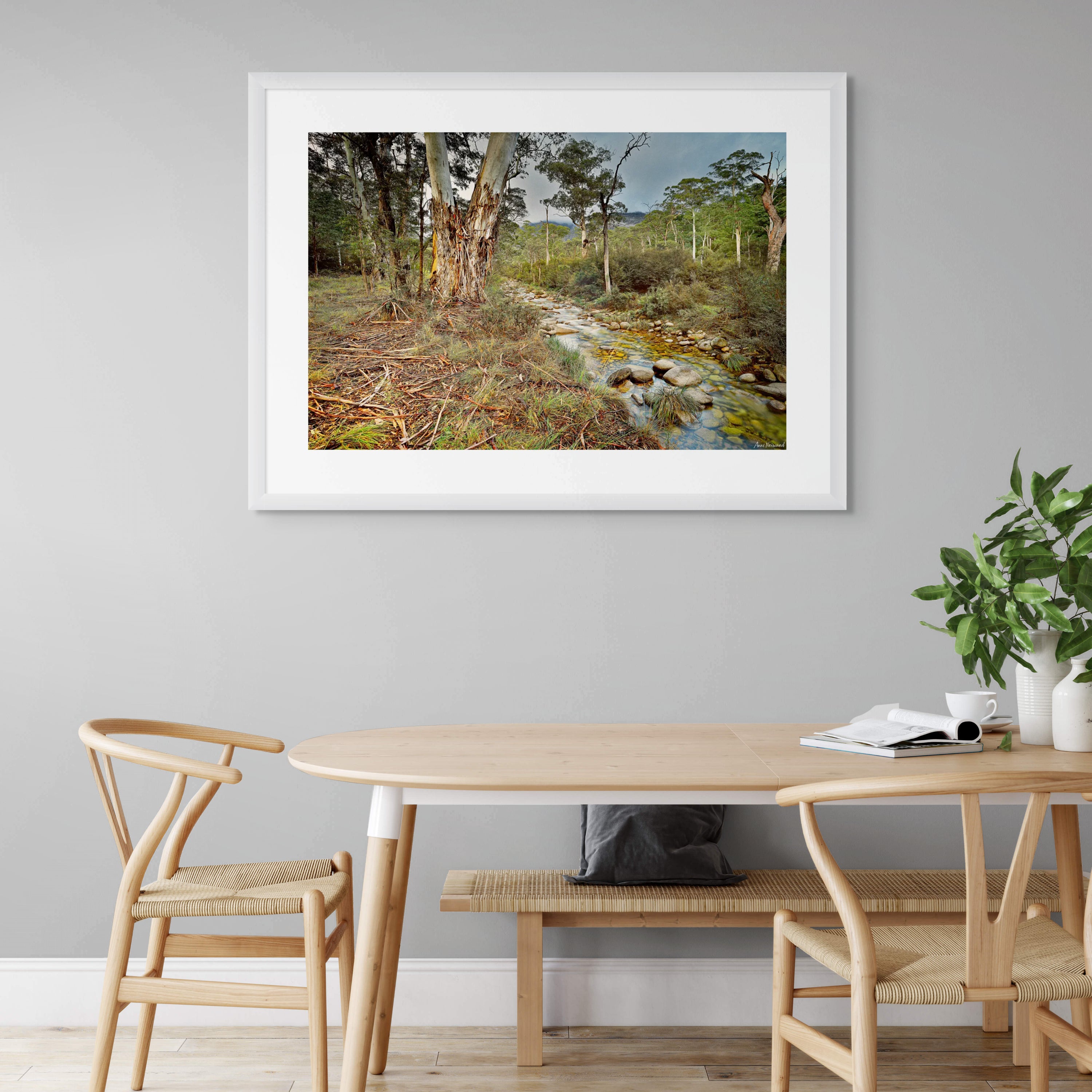 Tranquil bush scene with golden tones and river rocks