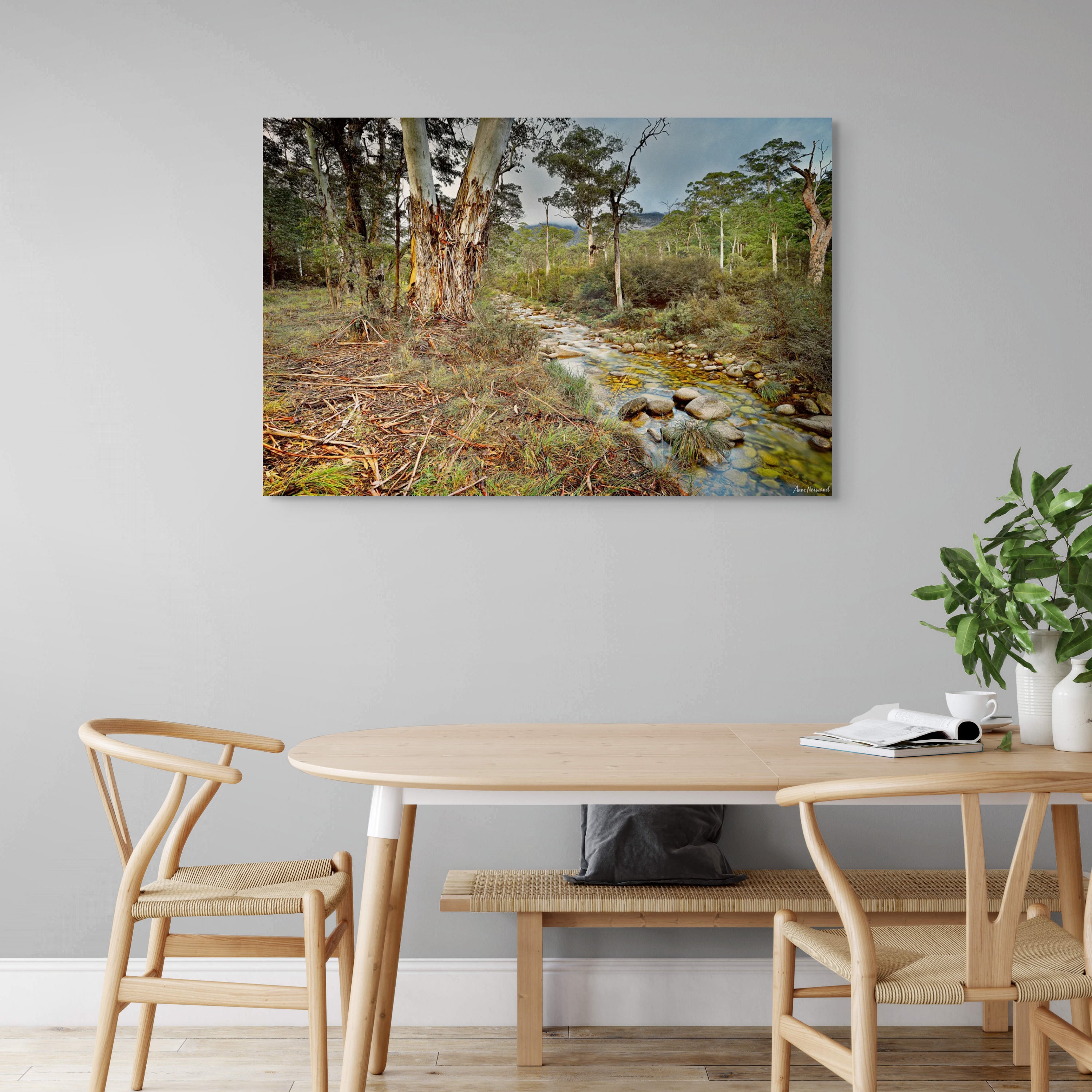 Textural landscape with water, bark, and light